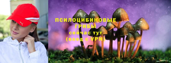 мяу мяу мука Баксан